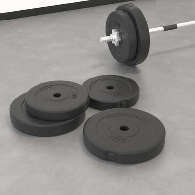 TEMU Weight Plates 4 Pcs. 30 Kg Cement Image