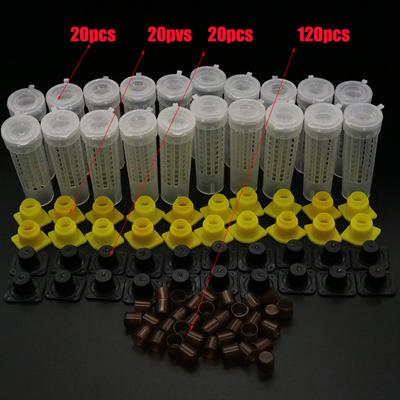 TEMU 140pcs Beekeeping Tool Kit - Plastic Rearing , Box, Cups, And - Apiculture Set Or Battery Image