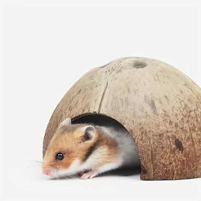 1Pcs Natural Coconut Shell Climbing Pet Escape Nest Hamster Hermit Crab Climbing Escape Nest Fish Escape House