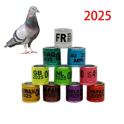 Bird+Supplies
