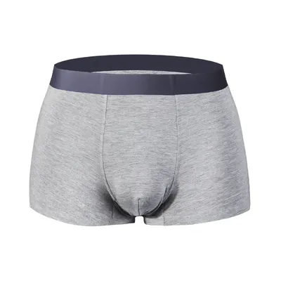 Herren-Slips, Herren-Boxershorts, nahtloser Sport, atmungsaktive antibakterielle Shorts, Boxershorts Image