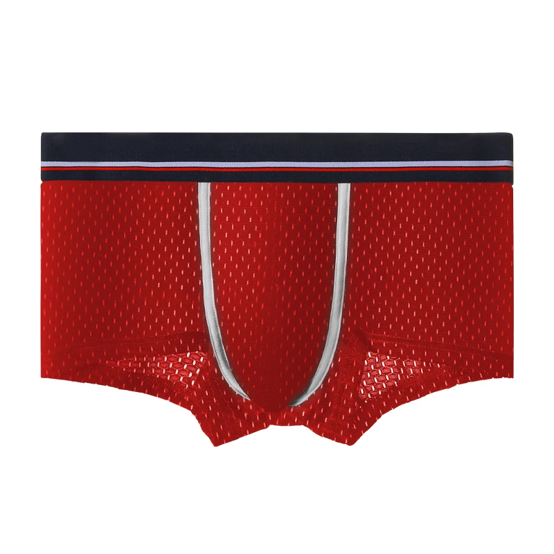 2 Stück Herren-Unterhosen aus Eisseide. Mesh-Boxershorts. Sommerliche, dünne und atmungsaktive U-förmige Bulge-Boxershorts für Herren. Sexy Unterwäsche Image