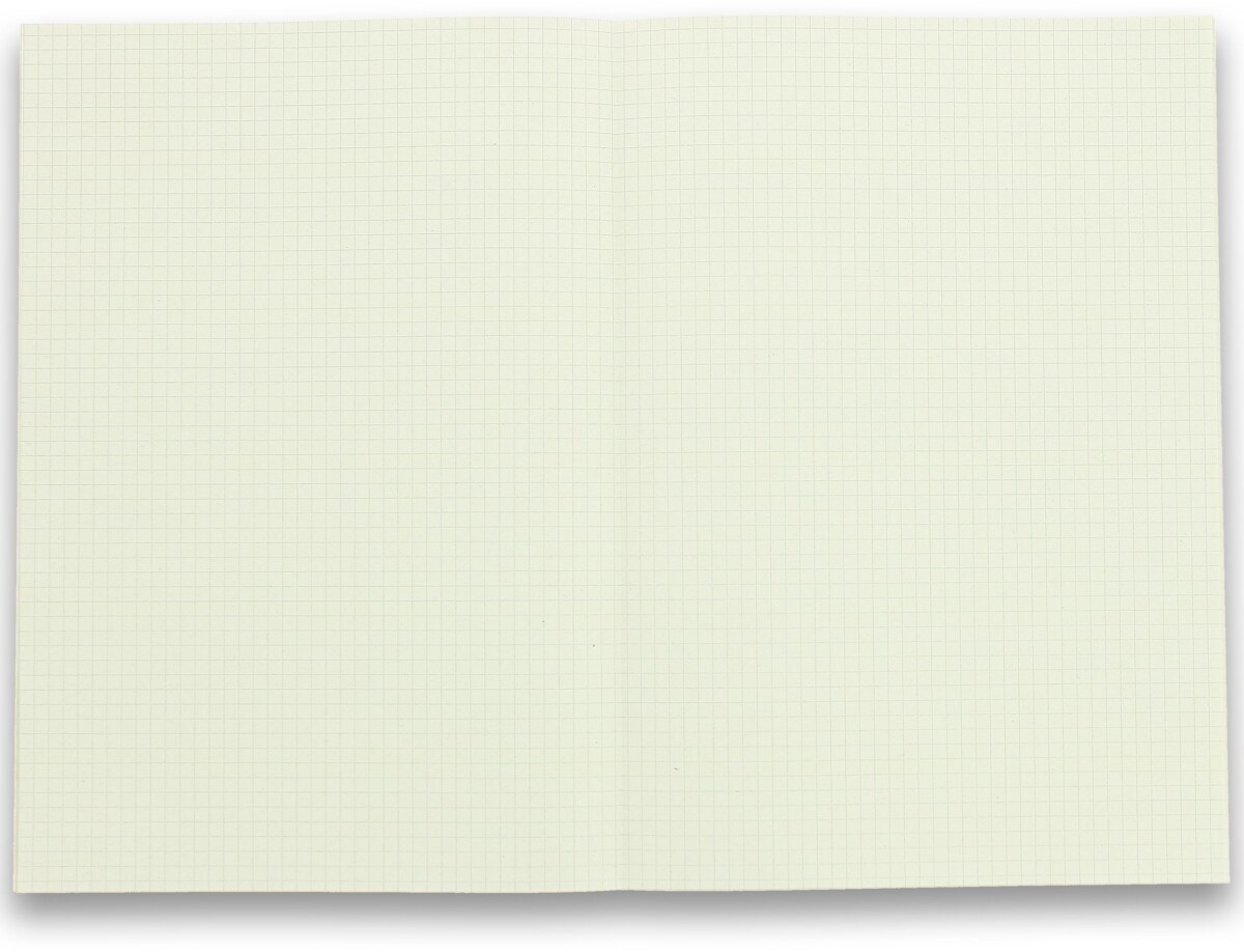 Landré Kanzleipapier Recycling A3/A4 70 g/qm kariert ohne Rand VE=8x250 Bogen Image