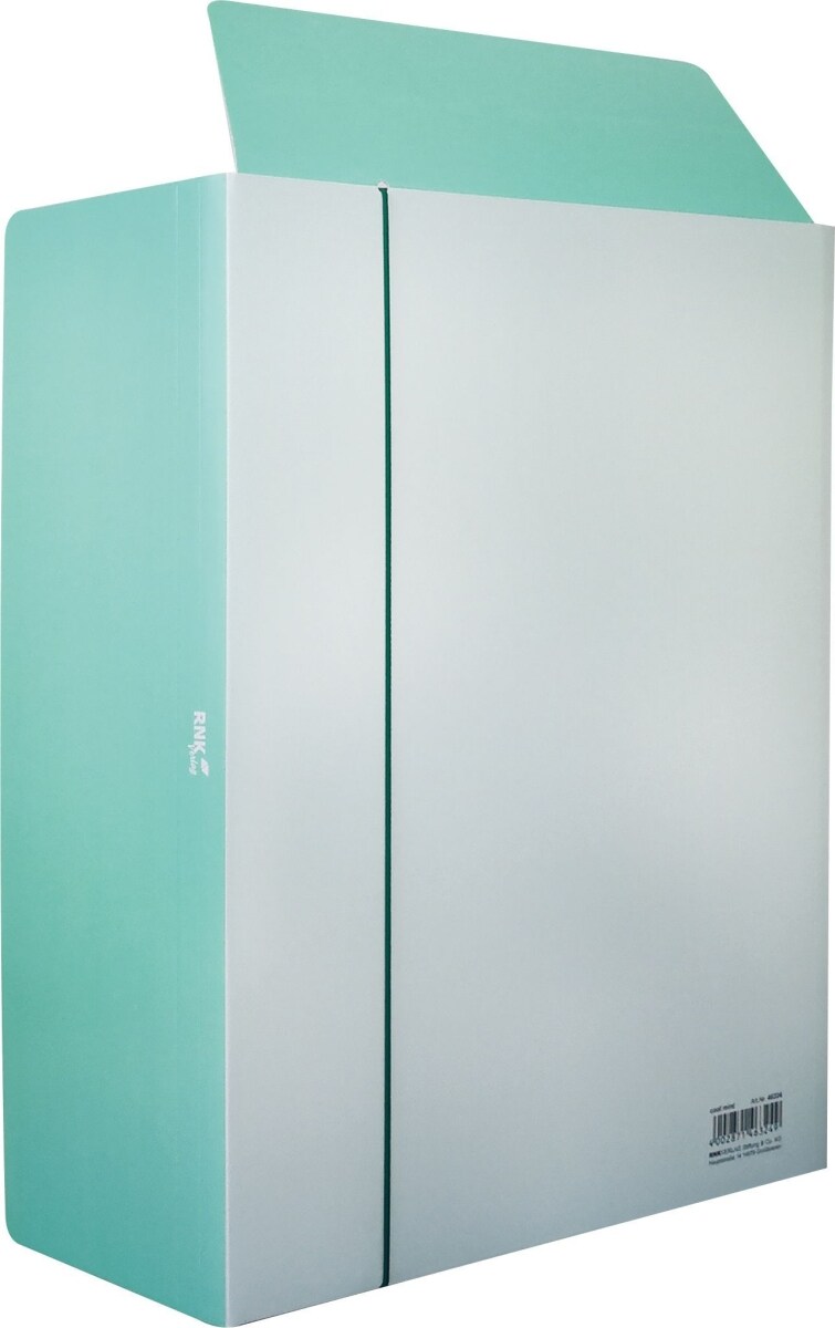 RNK Sammelmappe A4 -cool mint- Karton 350 g/qm Packung mit 3 Stück Image