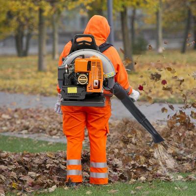 TEMU For Cleaning Up Fallen Leaves Image
