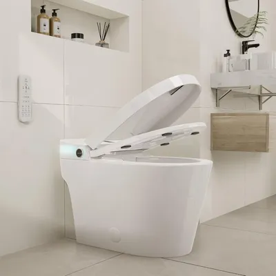 Smart Bidet Toilet with Built-In Bidet, Smart Toilet Seat Bidet Heated Bidet Toilet Seat Auto Flush