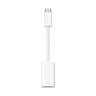 Apple Lightning-Adapter USB C/Lightning