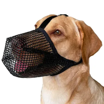 Anti Barking Pet Dog Muzzle Adjustable Mesh Breathable Pet Mouth Muzzles Mask For Dogs Mouth Cover