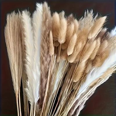 "TEMU 200pcs Pampas Grass Dried Flowers Bouquet Decor Bulk Bunny Tail 17" Boho Dried Flowers Natural Fluffy Pampas Reed For Wedding Home Table Party Decor (classic)" Image