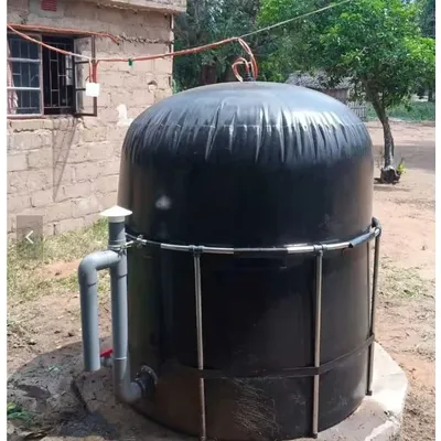 custom Small Home Biogas Digester System Plant Convert Household Food Residue Organic Waste to Cooking Gas Fuel