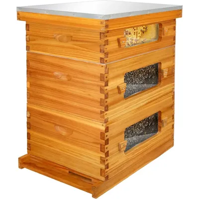 Bee Hive with Windows, 10 Frame Langstroth Complete Beehive Starter Kit Dipped in 100% Beeswax with