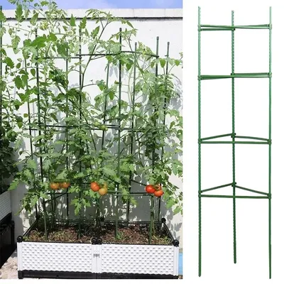 12Pcs Plant Support Stake Garden Plant Rack Climbing Vine Rack Arms Cage Expandable Potted Frame Connectors Plant Stakes