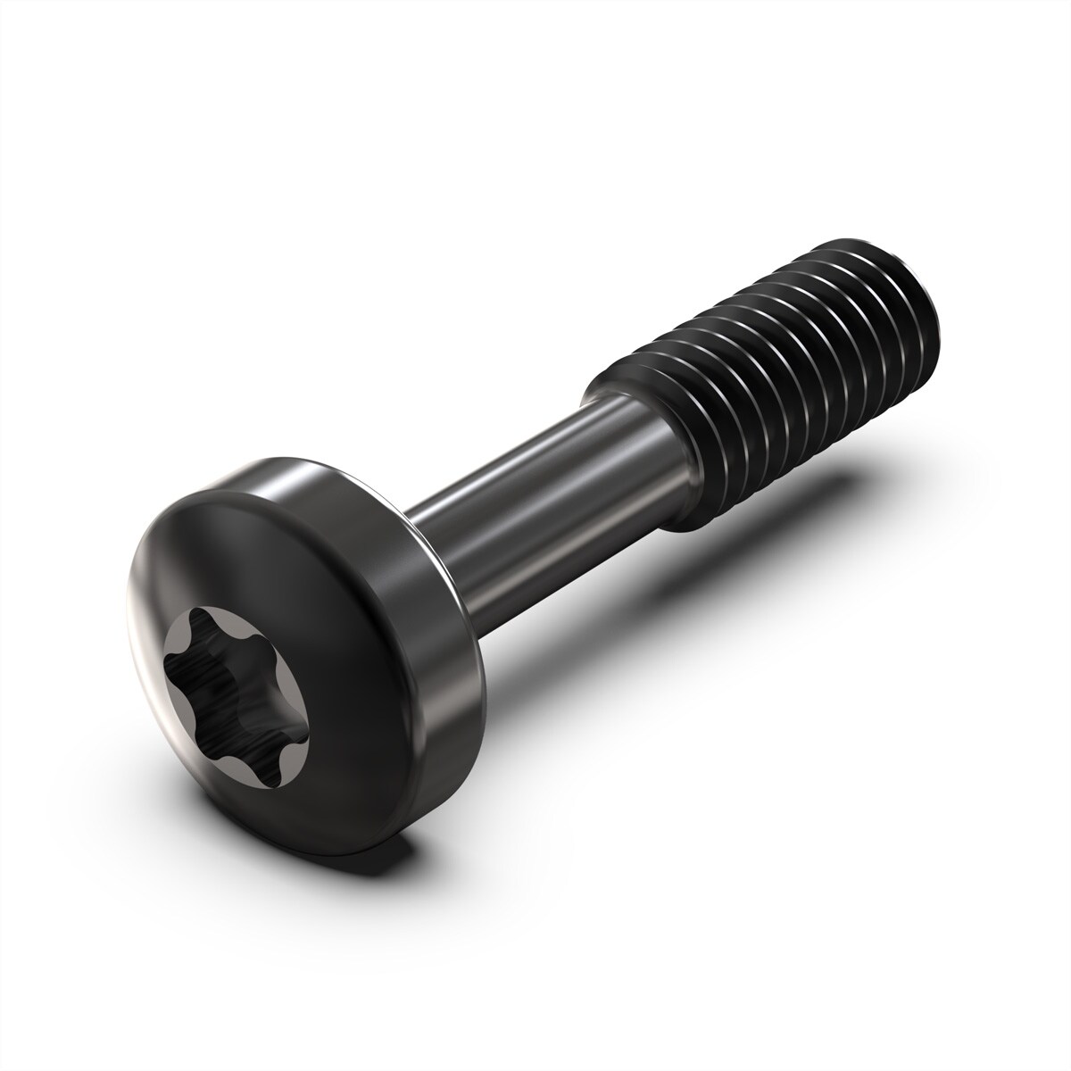 SCHROFF Halsschraube mit Torx - HALSSCHR.12.3 TORX SW 100ST Image