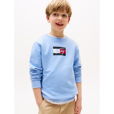 Sweatshirt TOMMY HILFIGER "TOMMY SCRIPT FLAG SWEATSHIRT", Jungen, Gr. 7 (122), blau (cloudy blau), Sweatware, Obermaterial: 80% Baumwolle, 20% Polyester, unifarben, casual, regular fit hüftlang, Rundhals, Langarm Bündchen, Sweatshirts, für Kinder... Image