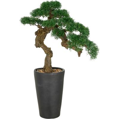 Kunstbonsai CREATIV GREEN "Bonsai Zeder", grün, B:60cm H:80cm, Kunststoff, Kunstpflanzen, im besonderen Pflanzgefäß Image