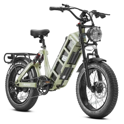 t Eahora Custom Motor Power 52v60ah Large Battery Hybrid Road Cargo Dirt Electric Bicycle Electric Bike Fat Tire E Bikecustom