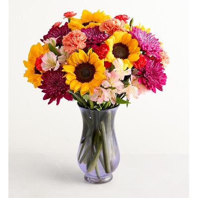 1-800-Flowers Flower Delivery Bouquet Of The Month Sweet Summer Daydream W/ Purple Vase (Including Shipping)