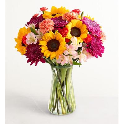 1-800-Flowers Flower Delivery Bouquet Of The Month Sweet Summer Daydream W/ Clear Vase (Including Shipping)