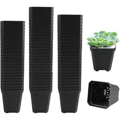 TEMU Pack Of Black Square Planting Pots, 5.4 Cm Plastic Seedling Starter Pots With Drainage Holes, Suitable For Fruits, , Transplanting, And Seedling Cultivation. Image
