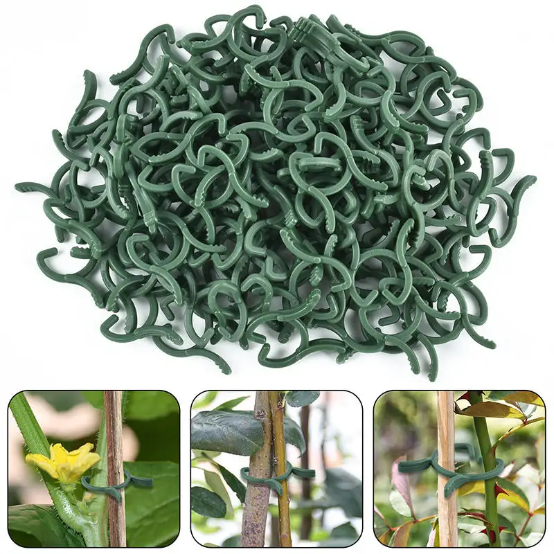 100-200PCS Garten Pflanze Clip Zweig Klemmen Blume Phalaenopsis Verschluss Kunststoff Halterung Vorbauten Unterstützung Reben Klettern Aufrecht wachsen Image