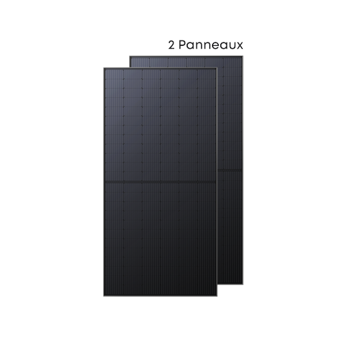 Anker SOLIX kits solaires 2× panneau solaire