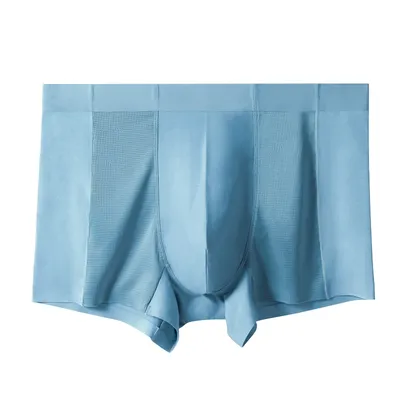 5 Stück nahtlose, bequeme und antibakterielle Boxer-Unterhose für Herren. Sie sind atmungsaktiv für den Sport, mit coolem Gefühl und Ar Image