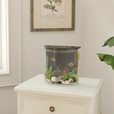 PawHut Fish Tank, 3L Nano Aquarium Starter Kit with Filter System, LED Light