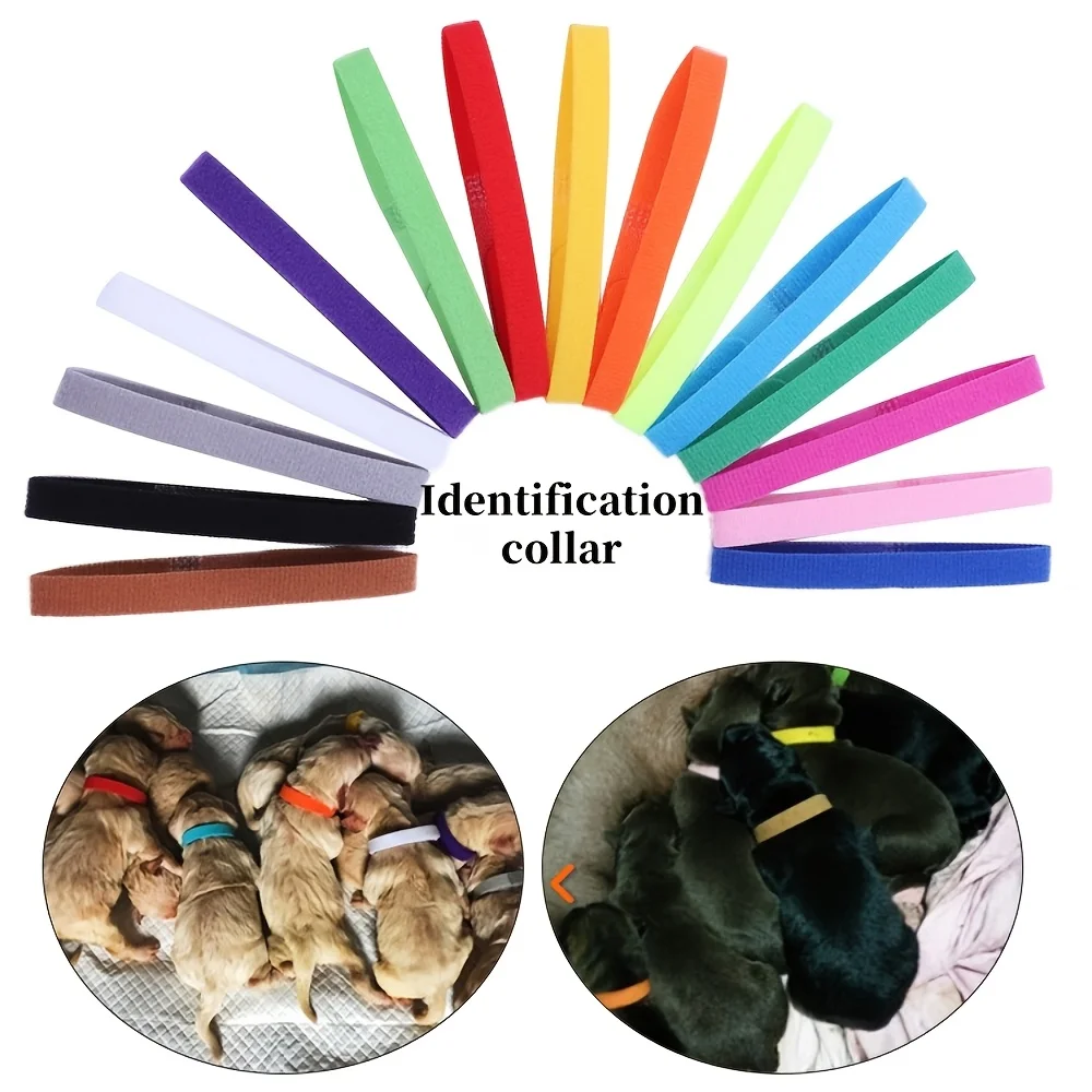 15PCS Pet Identifikation Kreis Kätzchen Welpen Farbige Kragen Geburt Markierung Seil Katze Hund Kann Anerkennung Schreiben Weiche Nicht schaden Haut Image