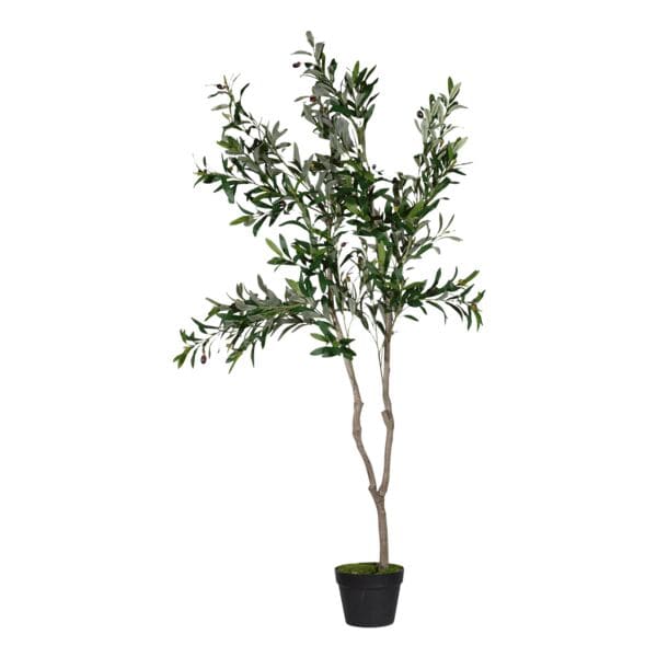 meet Kunstpflanze »Olivenbaum« 155 cm, 155 cm Image