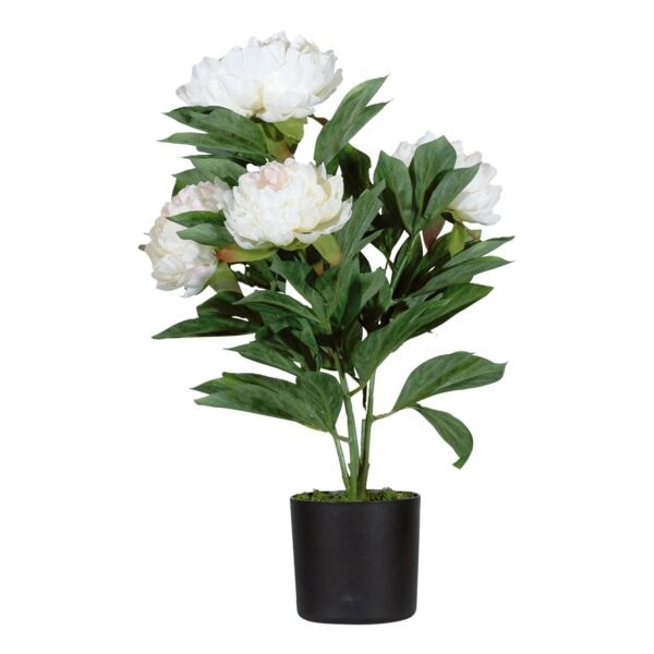 meet Kunstpflanze »Pfingstrose« 55 cm weiß, 55 cm