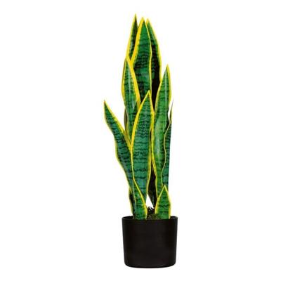 meet Kunstpflanze »Sansevieria« 65 cm, 65 cm Image