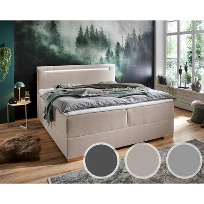 meise.möbel »Cooper I« Boxspringbett inkl. Bettkasten – erhältlich in Größen von 120x200 bis 180x200 cm Image