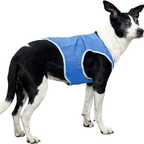 Atmungsaktive Hundekühlweste mit Klettverschlussgeschirr für mittelgroße große kleine Hunde - Kühljacke für Outdoor-Wandertraining Image