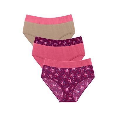 Plus Size Women's Full Coverage Stretch Cotton Color Block Brief 3-Pack by Comfort Choice in Deep Claret Assorted (Size 13) Underwear