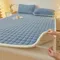 2024 New Class A Thickened Milk Fleece Mattress Winter Warm Fleece Bed Cover Student Dormitory Mat Quilt
