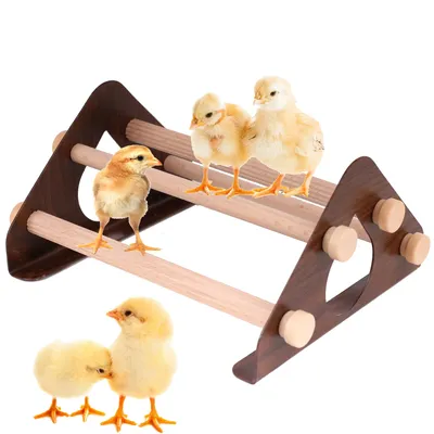 Chick Chicken Roosting Bar Perch Poultry Bird Training Toys Chicken Stand Metal Frame Stand with Wooden Roosting Bar for Coop