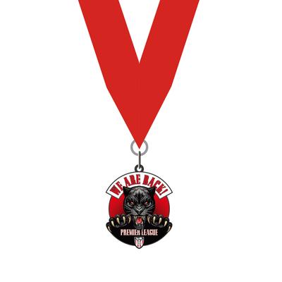 Sunderland Play-Off-Sieger-Medaille Image