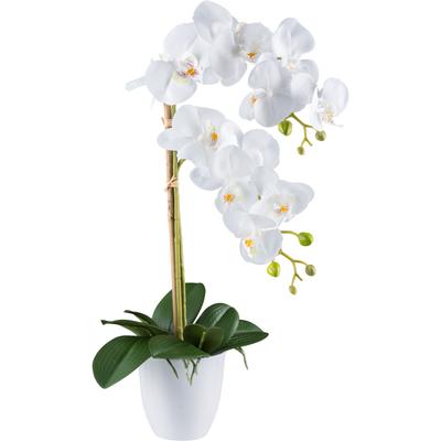 Kunstorchidee CREATIV GREEN "Orchidee Phalaenopsis", weiß, H:56cm, Kunststoff, Kunstpflanzen, mit real-touch-Blüten Image