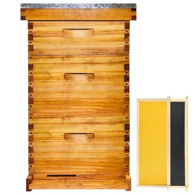 Gold Standard 10 Frame Bee Hive Beeswax Coated Includes Beehive Frames and Foundations (2 Deep Boxes & 1 Medium Box)