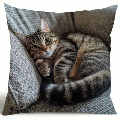 Cute Cat Nap Artistic Design Pillow: Adorable and Comforting Gift for Cat Lovers and Cozy Home Decor Enthusiasts Image
