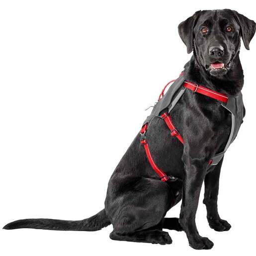 Orvis Tough Trail 6-Point Dog Harness - Red - Red Large