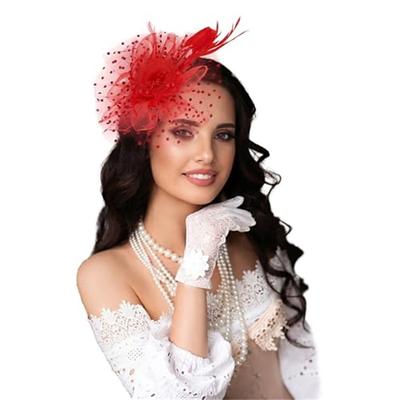 Fascinators Hats for Women Tea Party Hats for Women, Kentucky Derby Hats for Women Church Hats for Women Fancy Dress Party