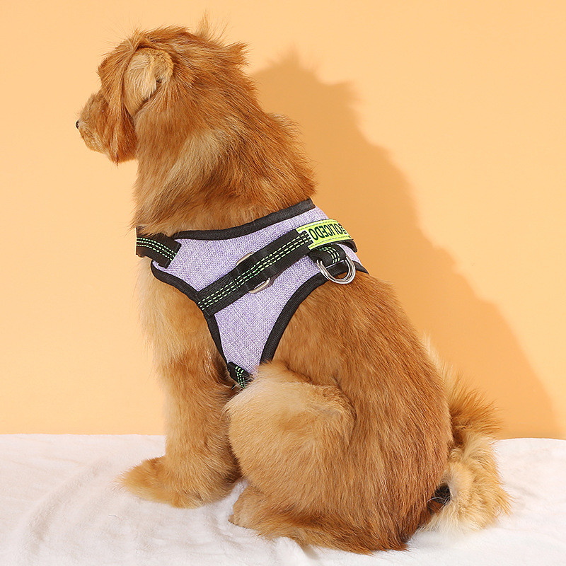 Sponge Mesh Big Dog Walking Rope Chest Strap Saddle Dog Pet Chest Back Coat Pet Supplies