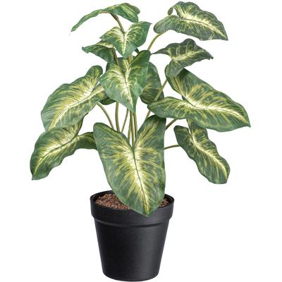 Künstliche Zimmerpflanze CREATIV GREEN "Syngonium Pixie", grün, H:38cm, Kunstpflanzen, mit grüngelben Blättern Image