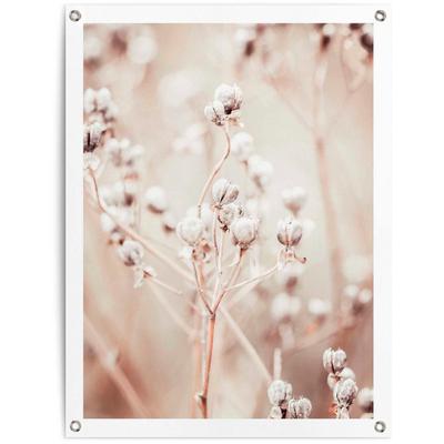 Poster REINDERS "Getrockneter Zweig", beige (farbe bild(er): beige), B:60cm H:80cm T:0,1cm, Leinwand, Bilder Image