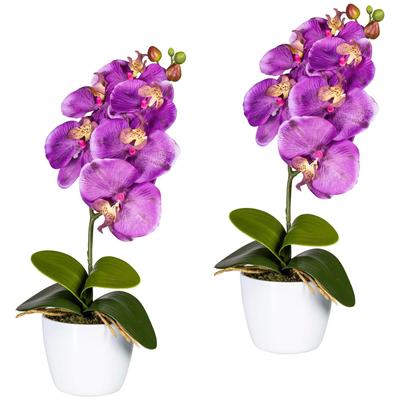 Kunstpflanze CREATIV GREEN "Orchidee Phalaenopsis", lila, H:40cm, Polyester, Kunststoff, Kunstpflanzen, im Keramiktopf Image