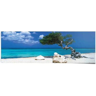 Poster REINDERS "Tom Mackie divi divi Baum", blau (farbe bild(er): blau), B:158cm H:53cm, Papier, Bilder Image