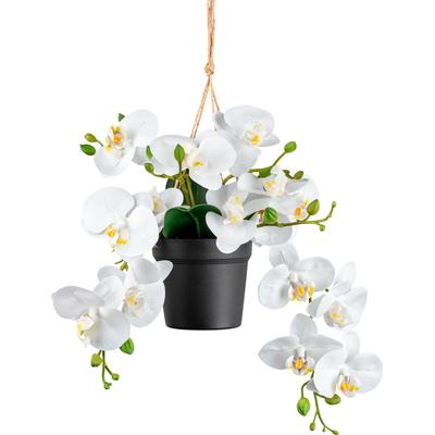 Kunstorchidee CREATIV GREEN "Orchidee Phalaenopsis", weiß, H:25cm, Kunstpflanzen, mit real-touch-Blüten Image