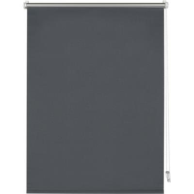 Seitenzugrollo MY HOME "Thermo Klemmrollo Energiesparend", grau (anthrazit), B:50cm H:150cm, Polyester, Rollos, abdunkelnd mit Thermobeschichtung Image
