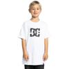 Shirttop DC SHOES "DC Star Glow", Kinder, Gr. 8(125-130cm), weiß, [Hauptstoff] 75% Baumwolle, 25% Baumwolle, Tops